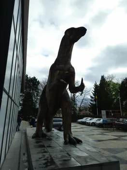 Natural History Museum (Royal Belgian Institute of Natural Sciences) Brussels (Belgium)